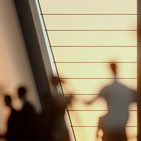 The Diverse Board 2020