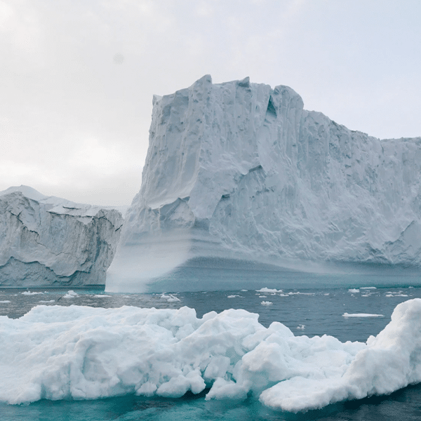 Climate Change Comment Letters