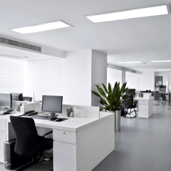 Highest and Lowest Paid Workers in the S&P 500