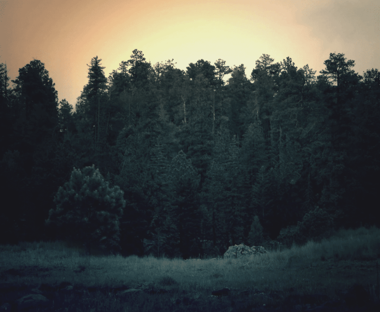 ESG Oversight in the Russell 3000