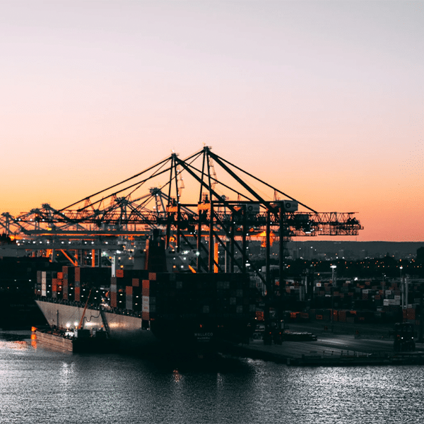 Tariffs as a Risk Factor